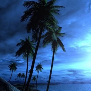 Meet your Posher, Kaye